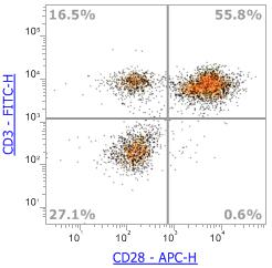 Anti-Human CD28 (CD28.2)，APC 流式抗体 - 结果示例图片