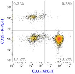 Anti-Human CD19, PE (Clone:SJ25C1) 流式抗体 - 结果示例图片